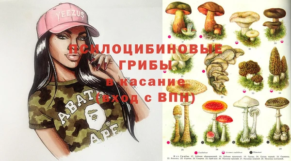 PSILOCYBIN Зеленокумск
